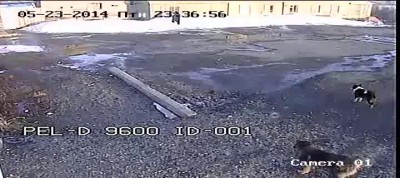 Откройте, я пришёл (дополнение)