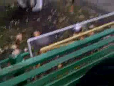 Канатопская ведьма!!