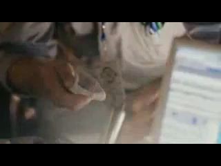 Подкустовый выползень , чернопопик и хорёк-паникёр