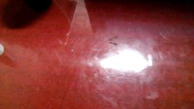 Комар колбасится под Graveland