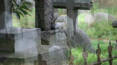 Артерия - Боль