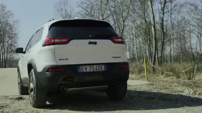 COMPLETE Mess of a Man after Being Crushed by Tractor, Flattened to the Pavement