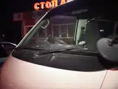 Я вам ни слова не скажу!