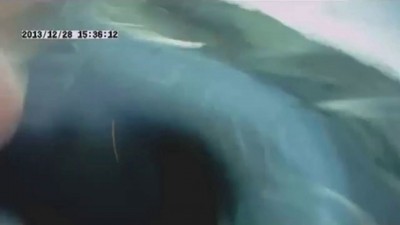 Волга идет в лобовую