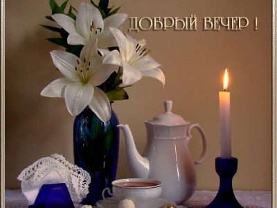 Добрый вечер !