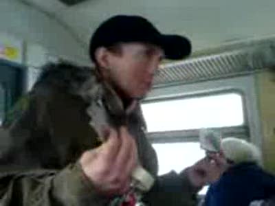 Коробейник-приколист