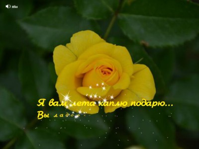 Я подарю лето
