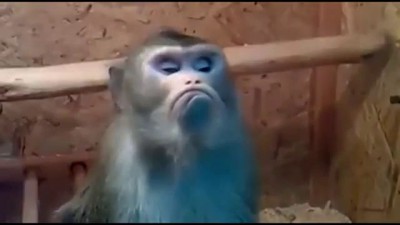 как обижаются девушки.