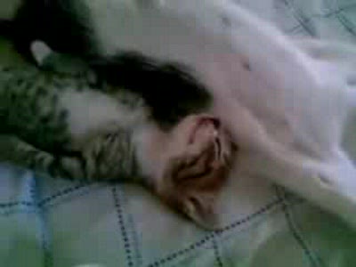 В полном отрубе