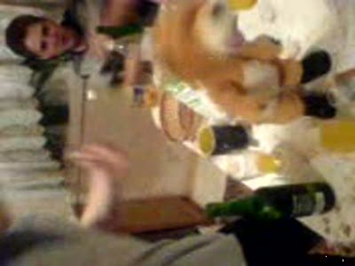 Домашняя пьянка