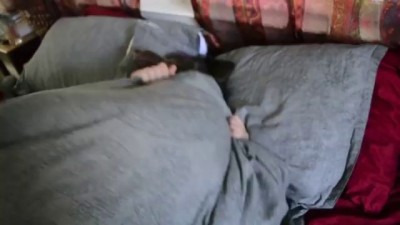 Собячья жизнь