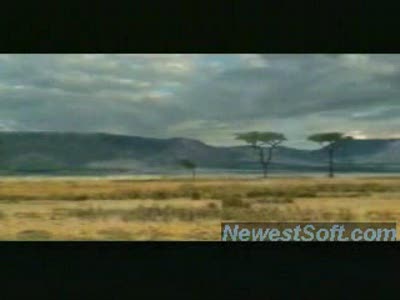 Уебал деда лопатой