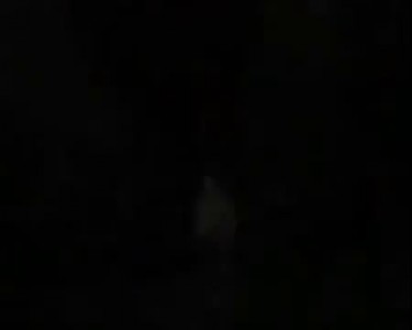 америка призналась