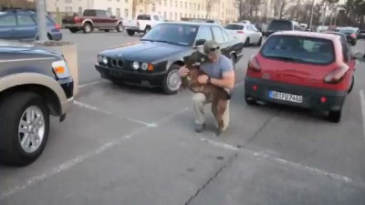 собака радуется возвращению хозяина