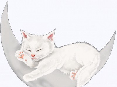 Сладких Снов !