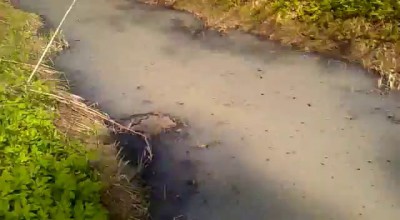 Река молоко