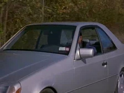 Пёс призрак