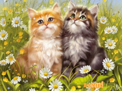 Приятного дня всем!