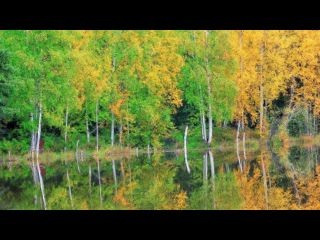 любимая моя