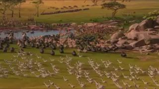 Мадагаскар по-кавказски