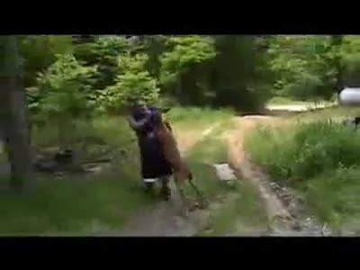 Олененок топчет толстяка