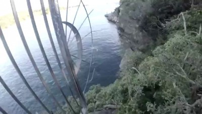 Встреча с белой акулой