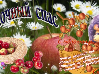 С праздником с Яблочным Спасом !