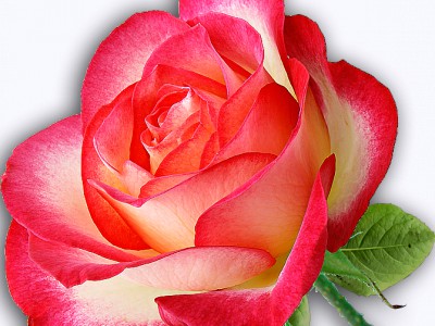 Sobota - Cуббота