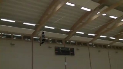 полет шмеля