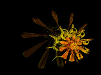 Рисовалка цветы