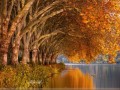 _01
