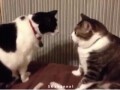 gifs_15
