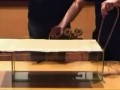 Химические опыты с серой
