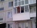 дед Коля из Тобольска