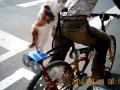 Кошка на велосипеде