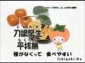 Japan music - песня хит! Вакаяма полная хурмы