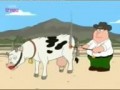 Family guy crazy cow