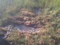 В России нашли портал в Нарнию!