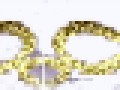 3__arnusha