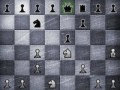 Шахматы(chess).swf