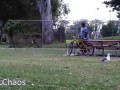 Тазер в сиденье велосипеда