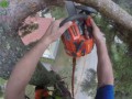Пильщик дерева на высоте