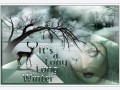 23.02.2021 It's a long long winter
