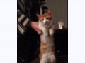 gifs_21