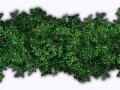 shrubs-lg