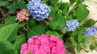 20260729_130455 копия