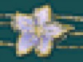 2_S
