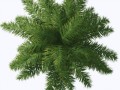 pngwing.com (3) (1)