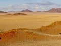 Desert-Panorama