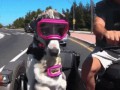 gifs_07